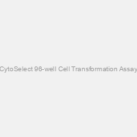 CytoSelect 96-well Cell Transformation Assay